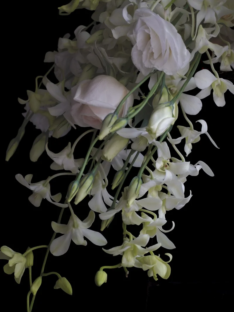 Bodas